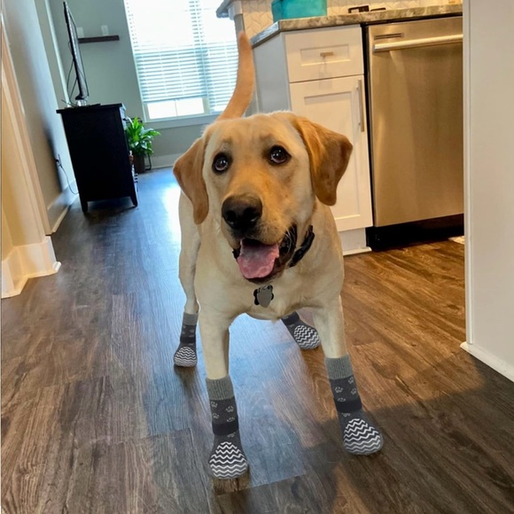 NWB EXPAWLORER .. DOGGIE SOCKS - Picture 1 of 9